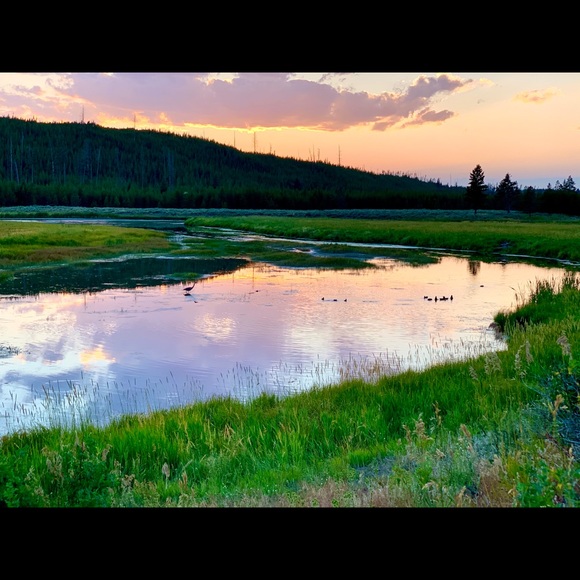 Meet your Posher, Phillip - Picture 5 of 8